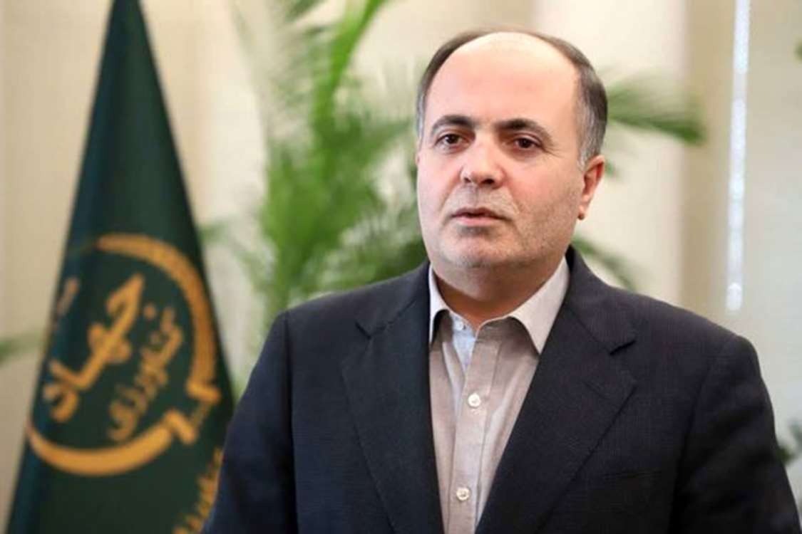 وزیر جهاد کشاورزی از تسویه کامل مطالبات گندمکاران خبر داد