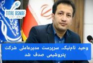 وحید نام‌نیک، سرپرست مدیرعاملی شرکت پتروشیمی صدف شد