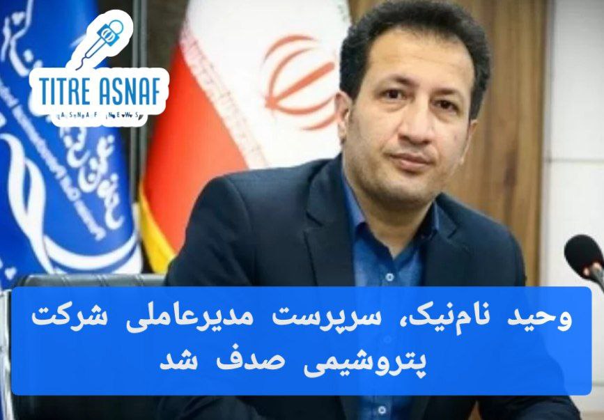 وحید نامنیک، سرپرست مدیرعاملی شرکت پتروشیمی صدف شد