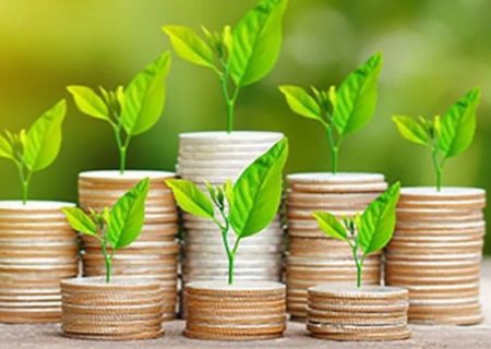 ابلاغ دستورالعمل تأسیس و فعالیت آژانس‌ها و کارگزاری‌های جذب سرمایه‌گذاری