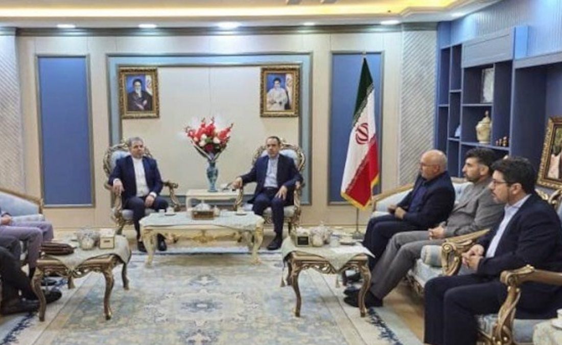 همکاریهای دارویی شستا با اقلیم کردستان عراق گسترش مییابد