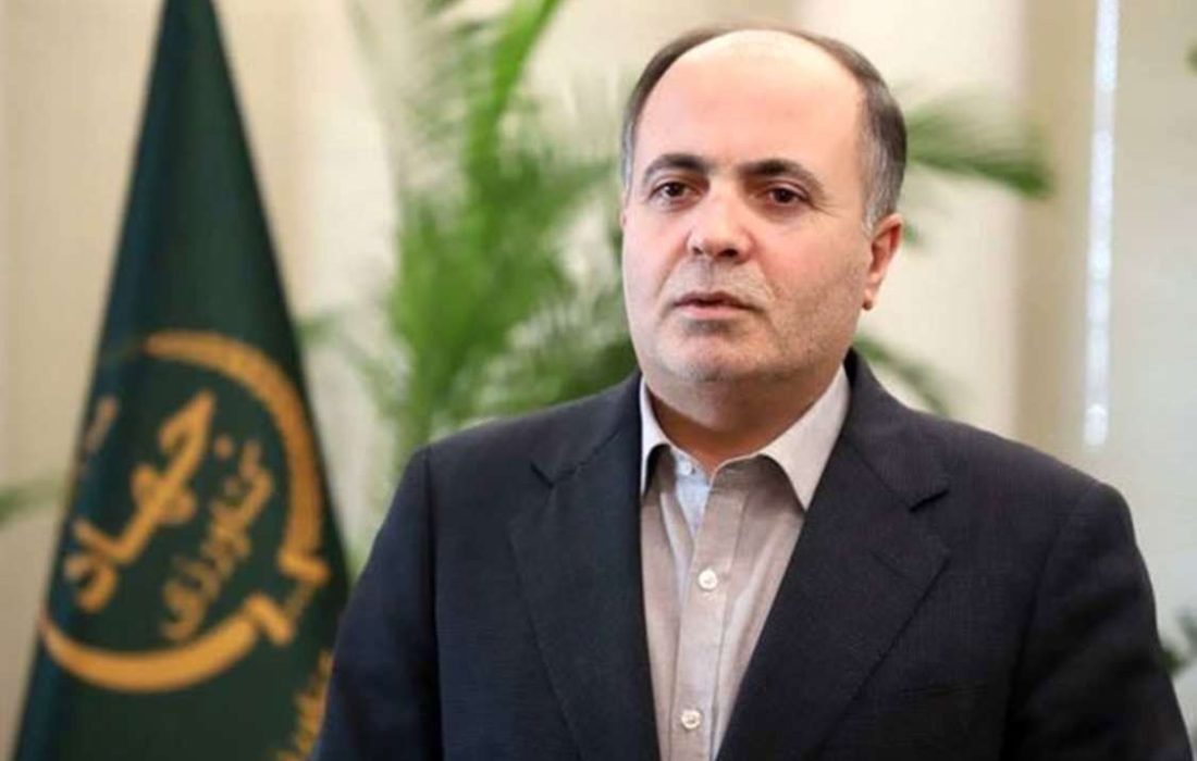 وزیر جهاد کشاورزی از تسویه کامل مطالبات گندمکاران خبر داد
