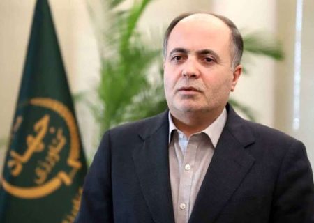 وزیر جهاد کشاورزی از تسویه کامل مطالبات گندمکاران خبر داد