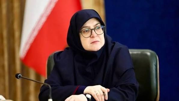 جزئیات وام ۵۰۰ میلیون تومانی دولت به مردم از زبان سخنگوی دولت