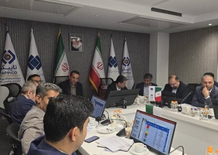 عملکرد گروه تأمین گستر نوین در نیمه اول سال ۱۴۰۴ بررسی شد