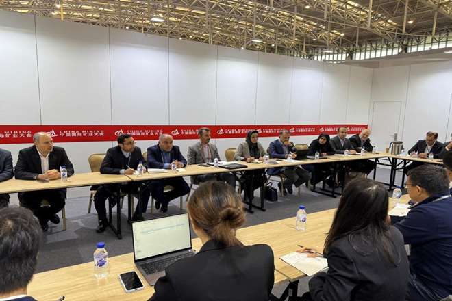 کارگروه مشترک میان شرکت ملی مس و هلدینگ بزرگ فلزات غیرآهنی چین تشکیل می‌شود